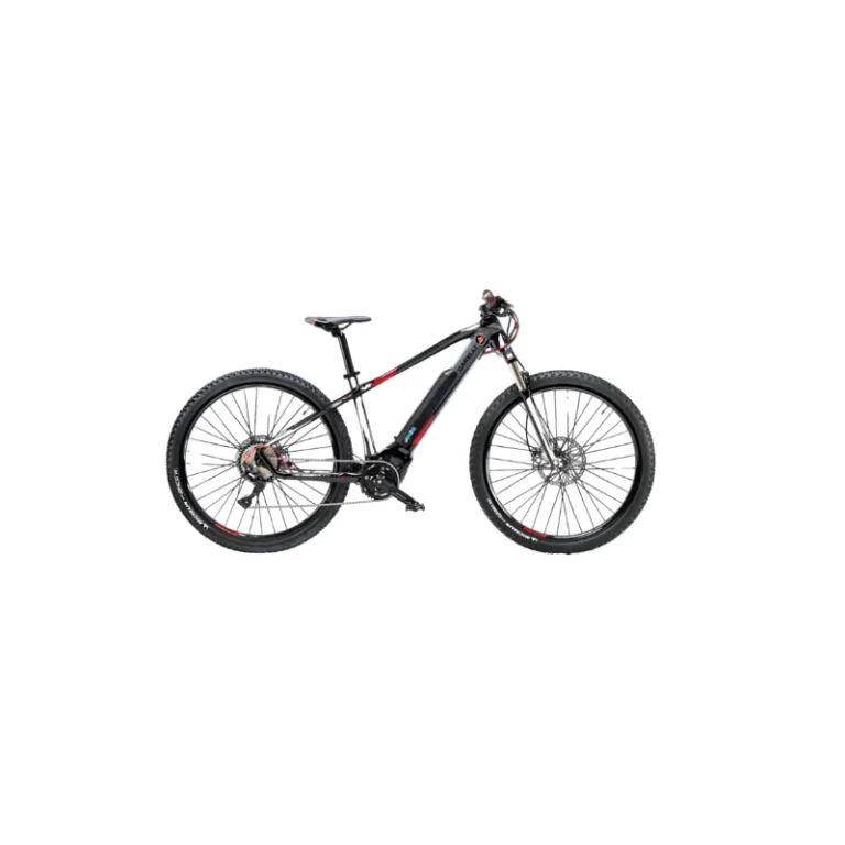 GARELLI AUDAX XC009 EBIKE